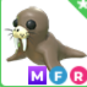 Adopt Me